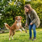 ¿Vale la pena el seguro para tu perro? La pregunta que se hacen miles de dueños en España
