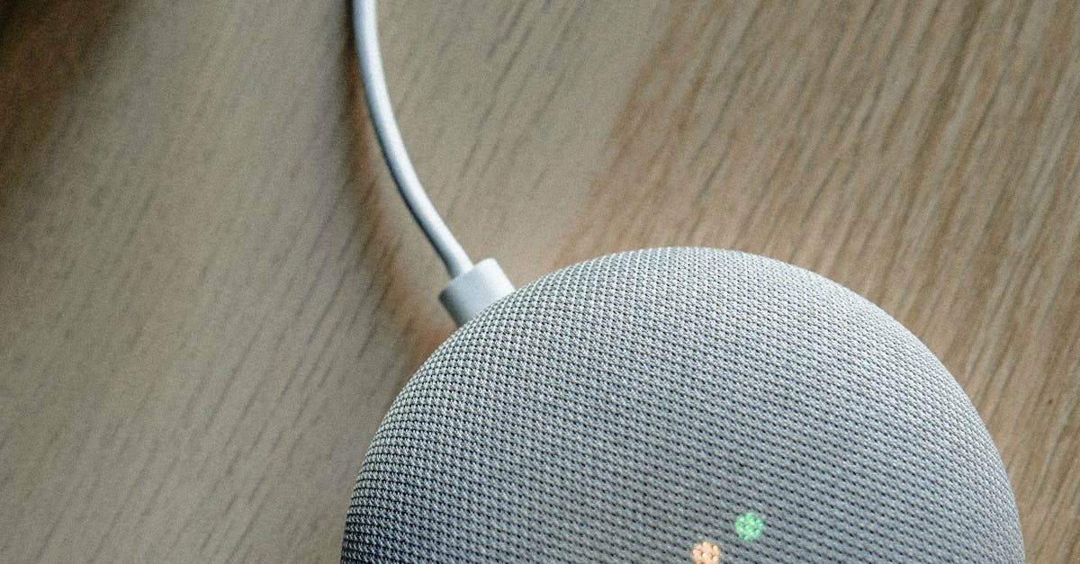 google home